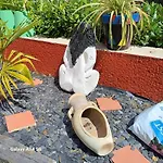 Semesterbostad Esterline